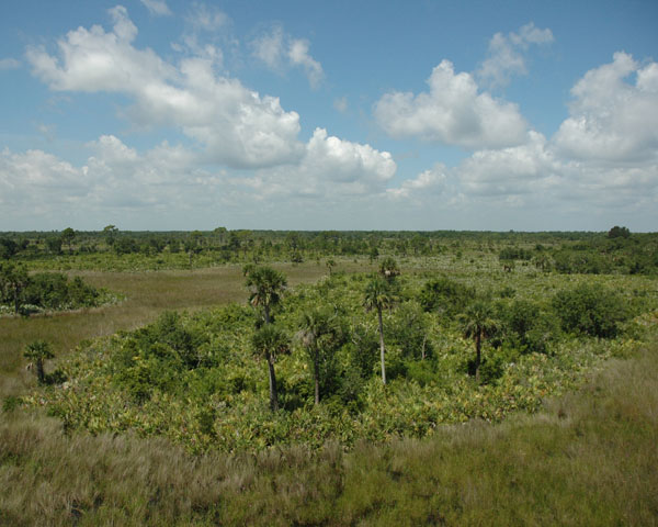 KSC_Hammock